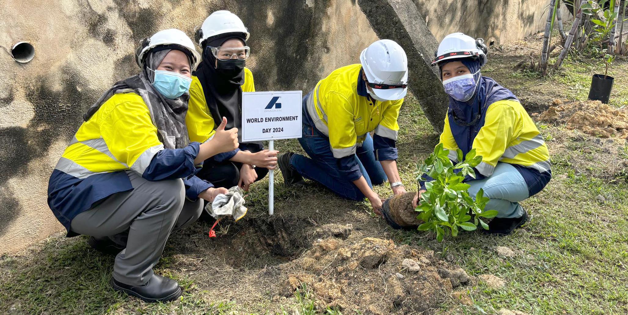 Four Bradken employees are crouched to the ground planting a small tree, one holds a sign that says "World Environment Day 2024". They wear yellow hi-vis uniforms and white hard hats.