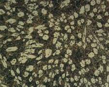 Duaplate® D80 Weld Overlay Microstructure